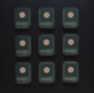 THE DOG KIT: FIRST AID AND EMERGENCY SUPPLIES