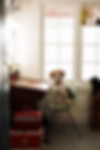 GOODHOUND-34.jpg