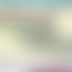 Cultura Organizacional & Engajamento