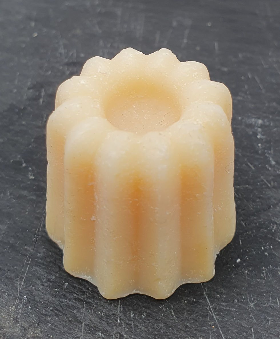 Savon au lait de chèvre (petit) - Ferme des pommeaux blancs