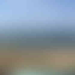 View of the Brighton Beach from the Queens House Sessions