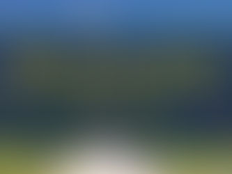 The Complete Fifth Volume of Animalia is Now Available Online!