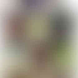 Organised fridge with shelve organised by food type and food stored in clear fridge containers