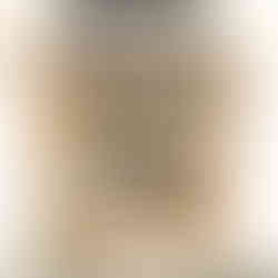 kitchen pantry with organised shelves and food stored in baskets