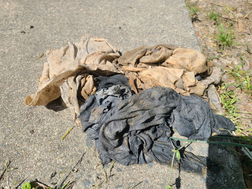 Diary of a Triplex Part 4