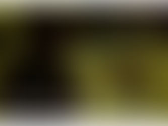 Two New Podcasts from Dirty Chai Radio