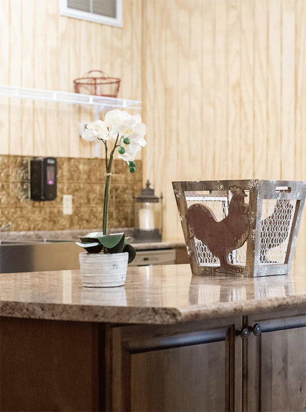 Southern Charm Cape San Blas