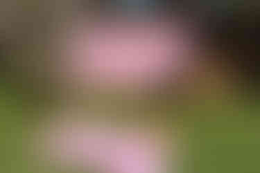 Profusion_Img_06.jpg