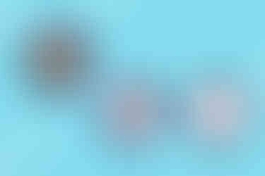 Profusion_Img_08.jpg
