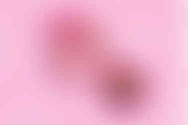 Profusion_Img_07.jpg