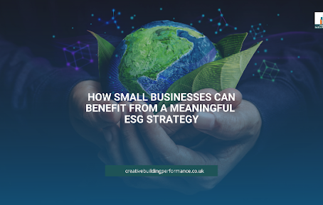 How Small Businesses Can Benefit From a Meaningful ESG Strategy