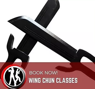 Wing Chun Kung Fu