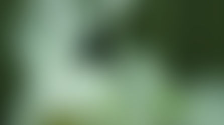 Changhua has announced the commencement of commercial production of CO₂-based polyols utilising Econic’s technology.