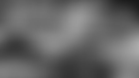 Big cat conservation and management in Brazil