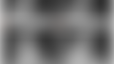 Where does the fox stay? First camera trap records of the threatened hoary fox Lycalopex vetulus ...