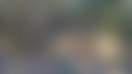 Copaíbas: Armadilhas do bem: câmeras fotográficas registram mamíferos silvestres do Parque Estadual de Terra Ronca - Publicado em 25/07/2024.