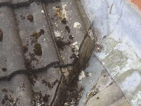 Before image of a damaged  gutter