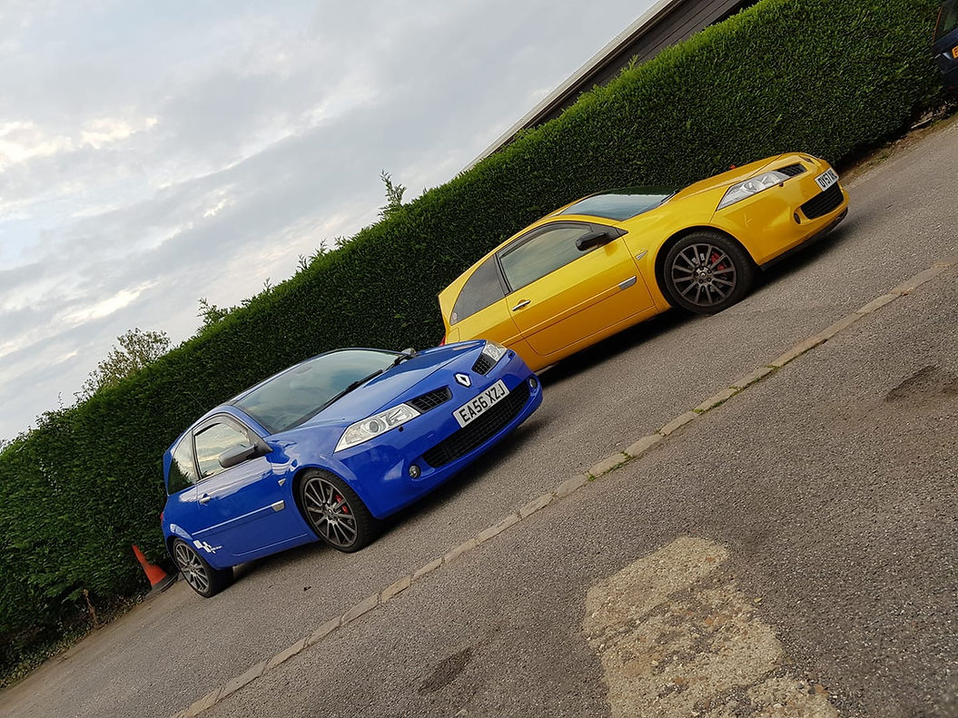 Blue and yellow cars parked by hedge