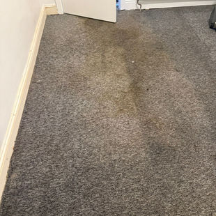 A stained gray carpet in a corner of a room near a white open door