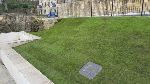 Elevated area laid to lawn