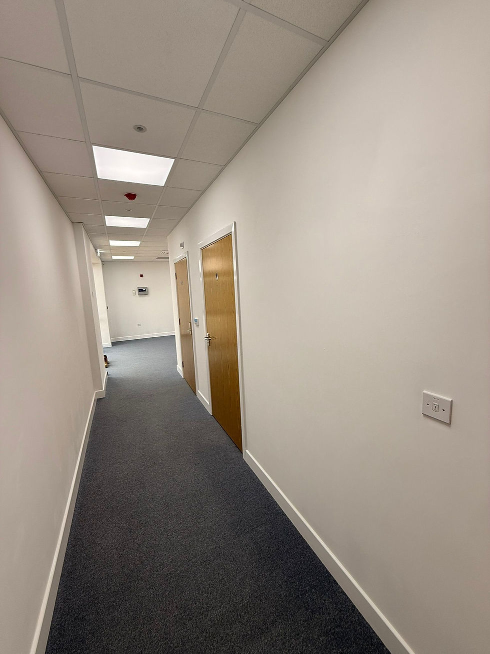 Commercial hallway with carpet flooring and wooden doors.