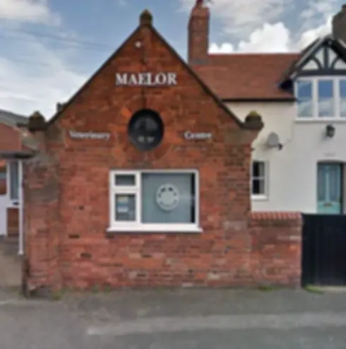 Building with Maelor Veterinary Centre written on it