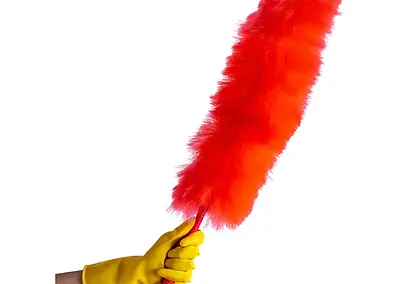 Plumeaux
