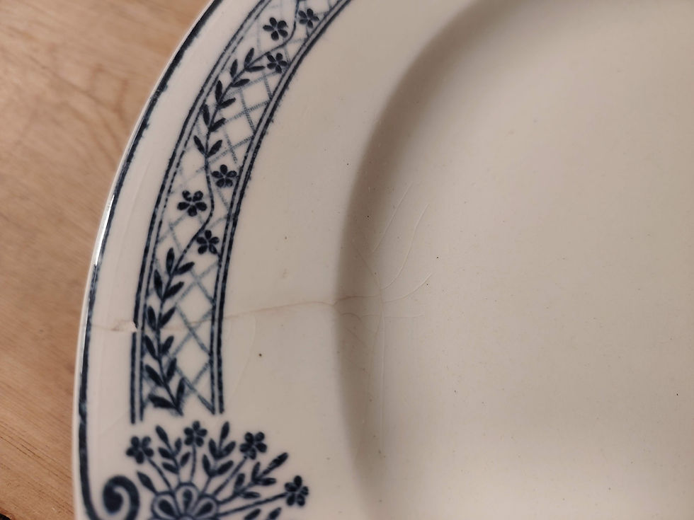 Miniature : Presque parfait !plat sur pied Terre de Fer bleu – Salins – Modèle Arbois Ennege