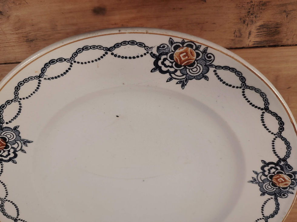 Miniature : Les presque parfaits ! plat sur pied Terre de Fer bleu – St Amandinoise