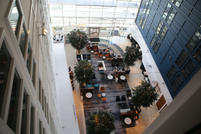 IMG_4110.jpeg