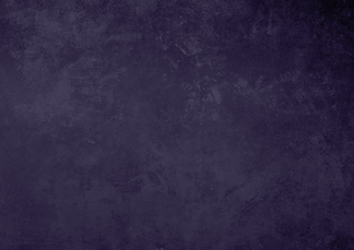Fond Site (8).png