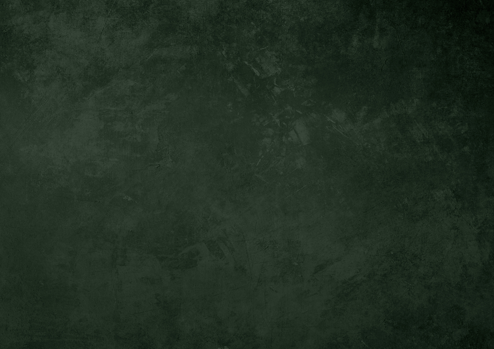 FOND VERT.png