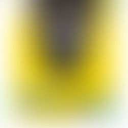 Berita Baik Ibu Profesional Tangerang Kota:Sebar Kebaikan Tanpa Keluar Rumah