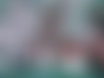 Momen Langka: Perempuan Indonesia Kibarkan Merah Putih di Atas KM Nggapulu