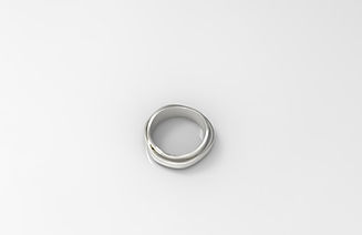 Ring pic 3 (top).201.jpg