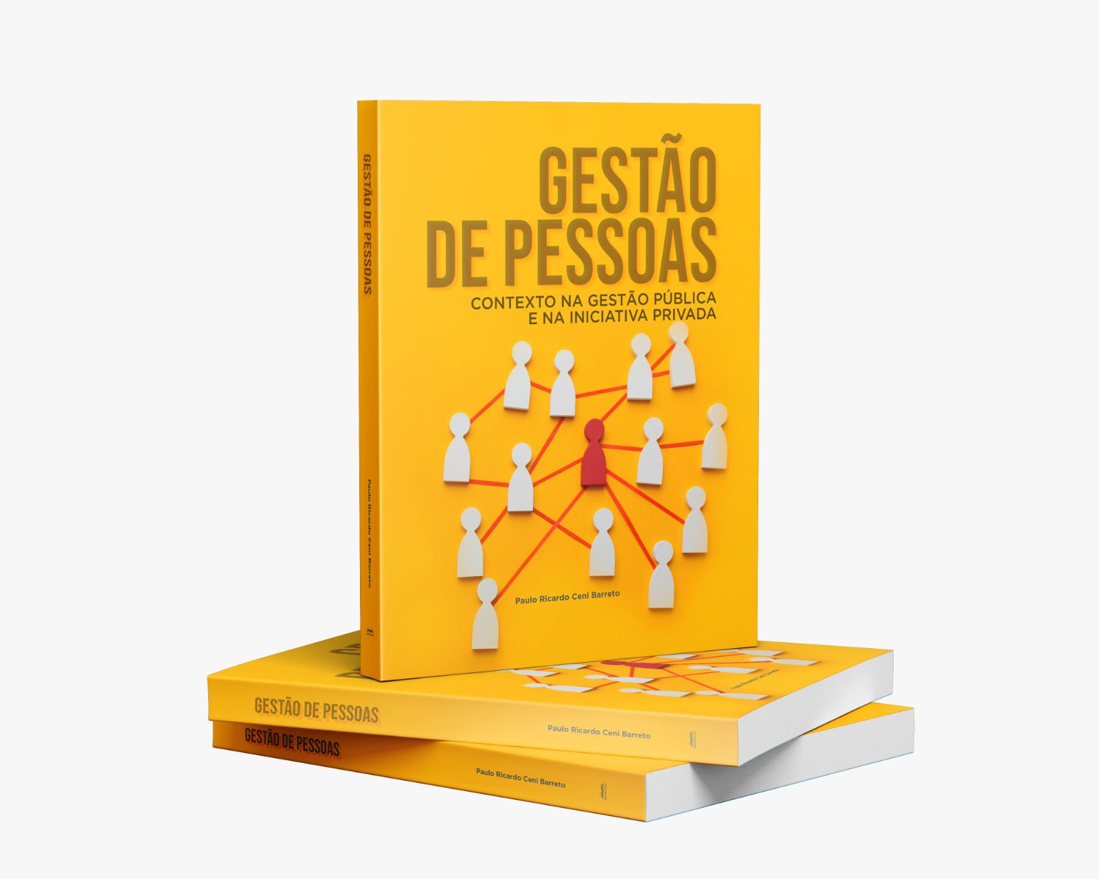 Gestão De Pessoas Contexto Na Gestão Pública e na Iniciativa Privada