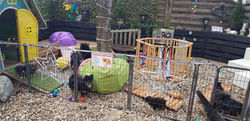 20201226_153149.jpg