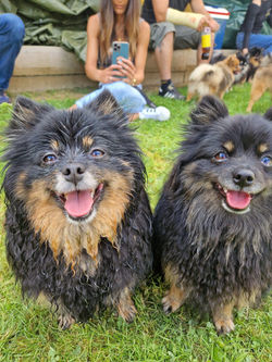 Cleo und Tochter Amy