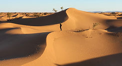 20221026_175517_edited.jpg
