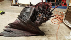 Pumpkin Dragon
