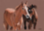 Thumbnail: BEST BUDS -        ORIGINAL EMPOWERING EQUINE ART BY ALETIA