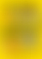 プチ防災イベントのお知らせ