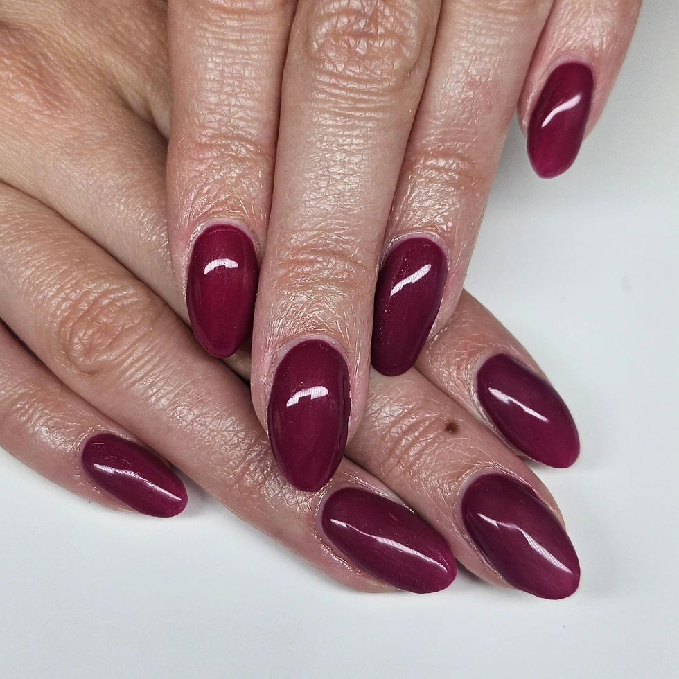 540614790_1345737024219094_7524667657975595095_n