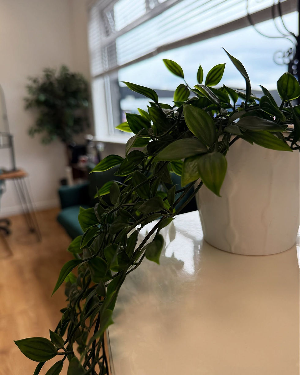 514531060_18370897111182143_4532246434405310679_n