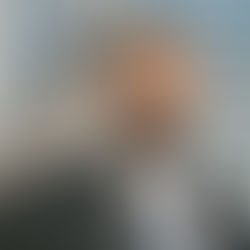 From Curiosity to Commitment