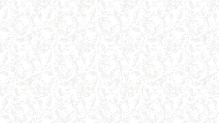 background.png