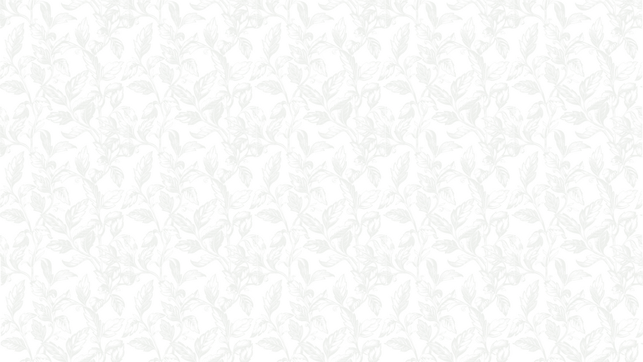 background.png
