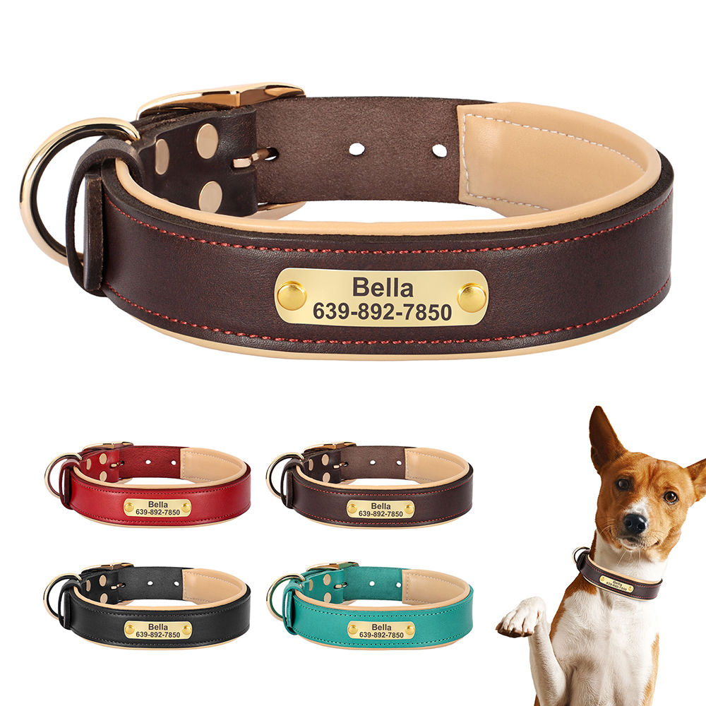 Soft Padded Leather Dog Collar Personalized Pet Dog Collars Free Engraved ID Nam