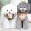 Thumbnail: Waterproof Winter Pet Jacket Clothes Super Warm Small Dogs Clothing With Fur Col