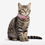 Thumbnail: Leather Dog Collars Safety Adjustable Pink Leather PU Glitter Luxury Dog Collars